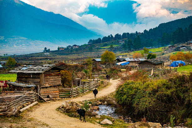 Stunning Photos of Bhutan that Makes it a Dream Destination