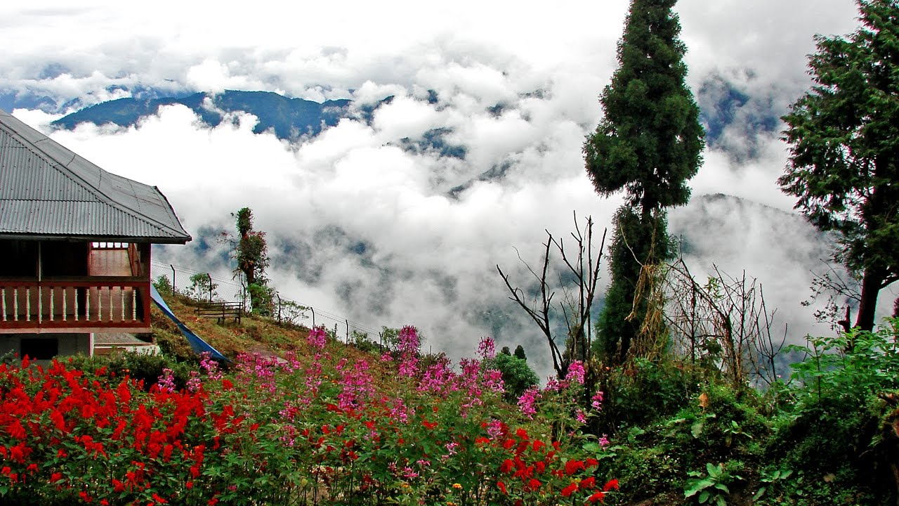 tourist attractions in kalimpong